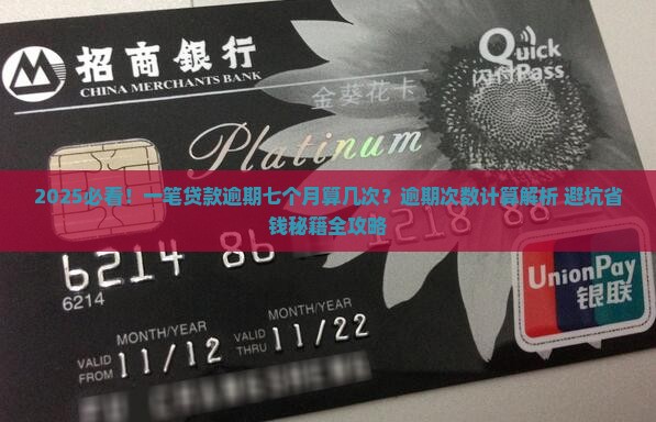 一笔贷款逾期七个月算几次