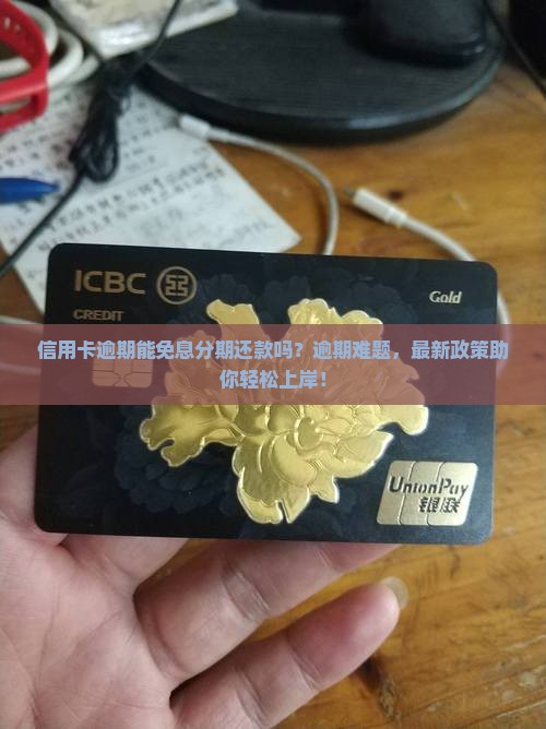 信用卡逾期免息分期还款问题解答