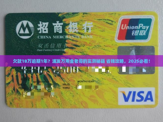 浦发信用卡万用金欠18万逾期1年如何解决