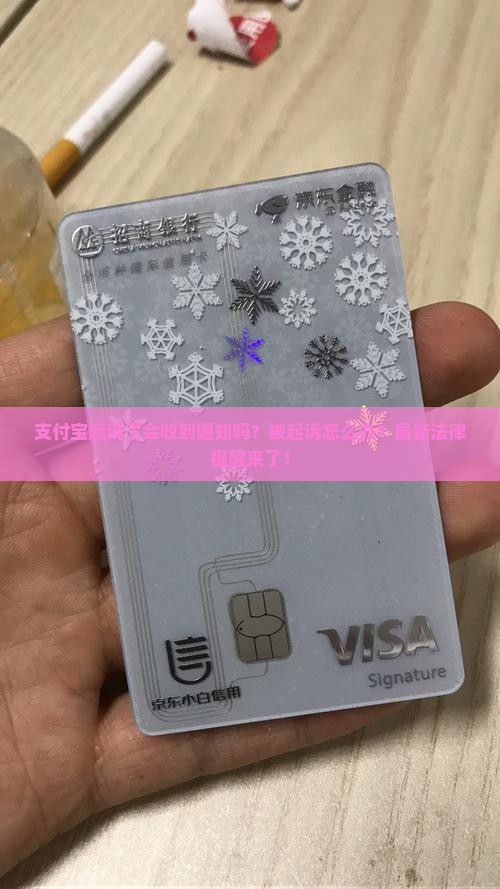 支付宝起诉了会收到通知吗