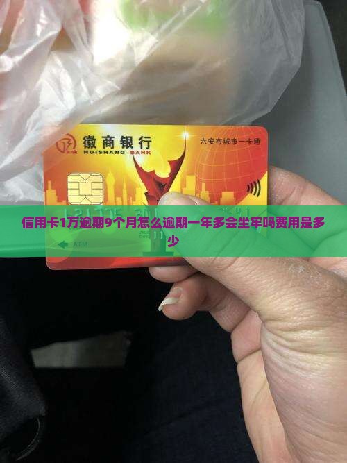 信用卡1万逾期9个月怎么逾期一年多会坐牢吗费用是多少
