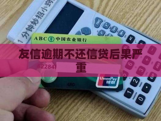 友信逾期不还信贷后果严重