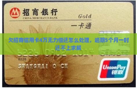 欠招商信用卡4万无力偿还怎么处理，逾期5个月一时还不上求解