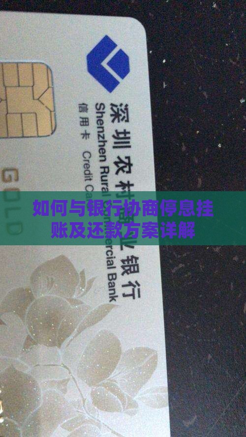 如何与银行协商停息挂账及还款方案详解