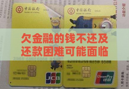 欠金融的钱不还及还款困难可能面临的后果