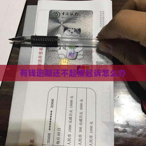 有钱逾期还不起被起诉怎么办