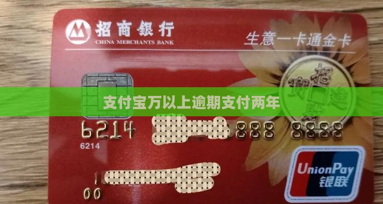 支付宝万以上逾期支付两年