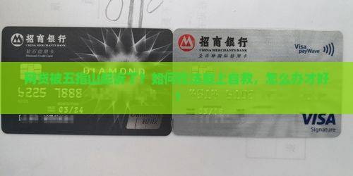 网贷被五指山起诉了？如何在法庭上自救，怎么办才好？