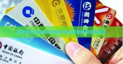 律师如何协助网贷协商效果显著及费用详情解析