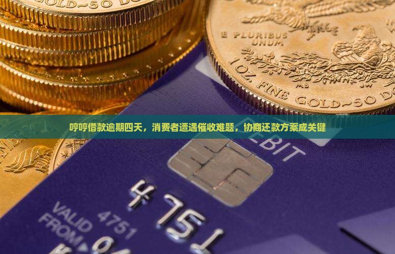 哼哼借款逾期四天，消费者遭遇催收难题，协商还款方案成关键