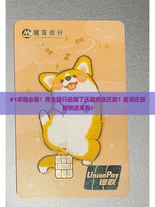 民生银行逾期协商免息还款流程及注意事项