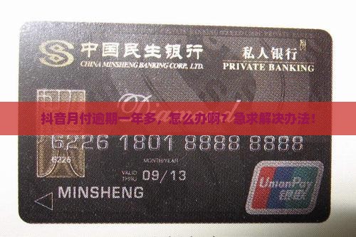 抖音月付逾期一年多了怎么解决