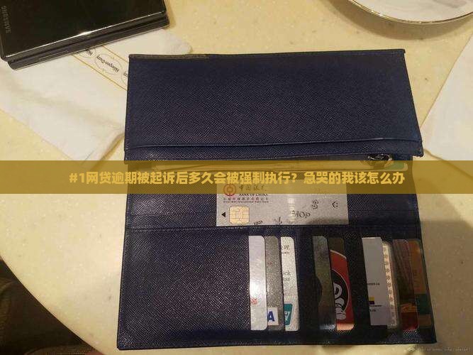 网贷逾期被起诉多久会被执行