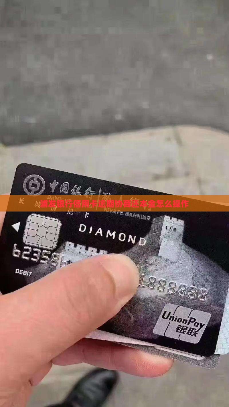 浦发银行催收还本金怎么操作