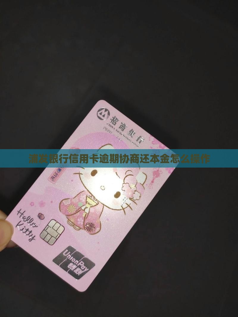 浦发银行催收还本金怎么操作