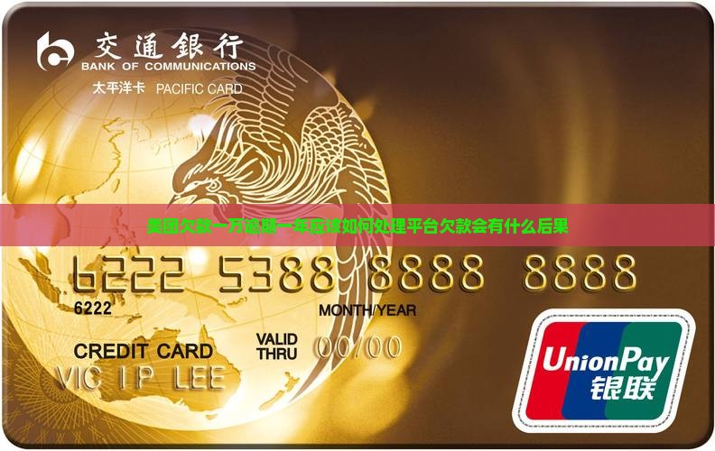 美团欠款一万逾期一年应该如何处理