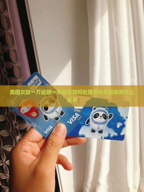 美团欠款一万逾期一年应该如何处理