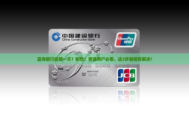 蓝海银行逾期一天会怎样处理