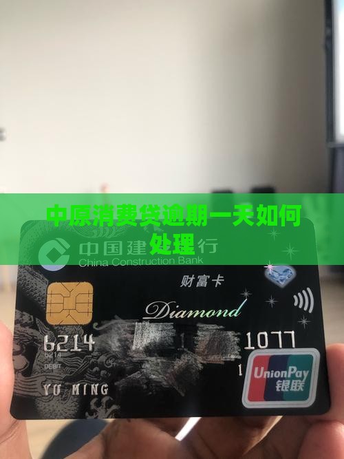 中原银行消费贷逾期1天如何处理
