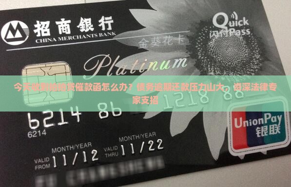 今天收到拍拍贷催款函怎么办