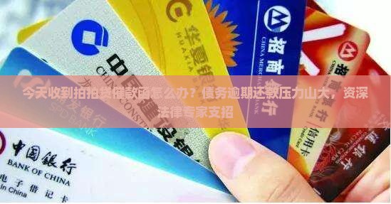 今天收到拍拍贷催款函怎么办