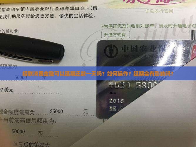 招联消费金融如何延期还款一天