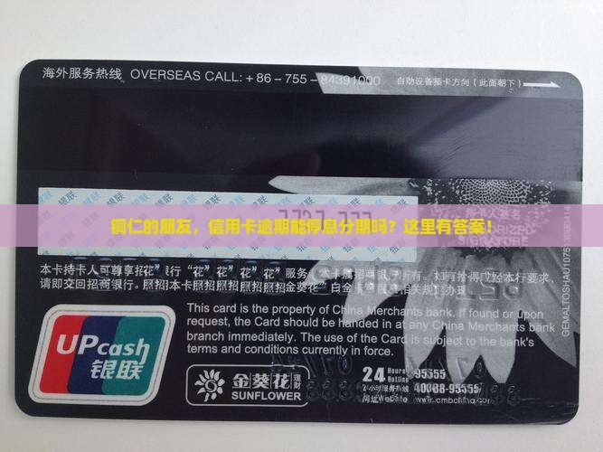 铜仁信用卡逾期停息分期如何处理