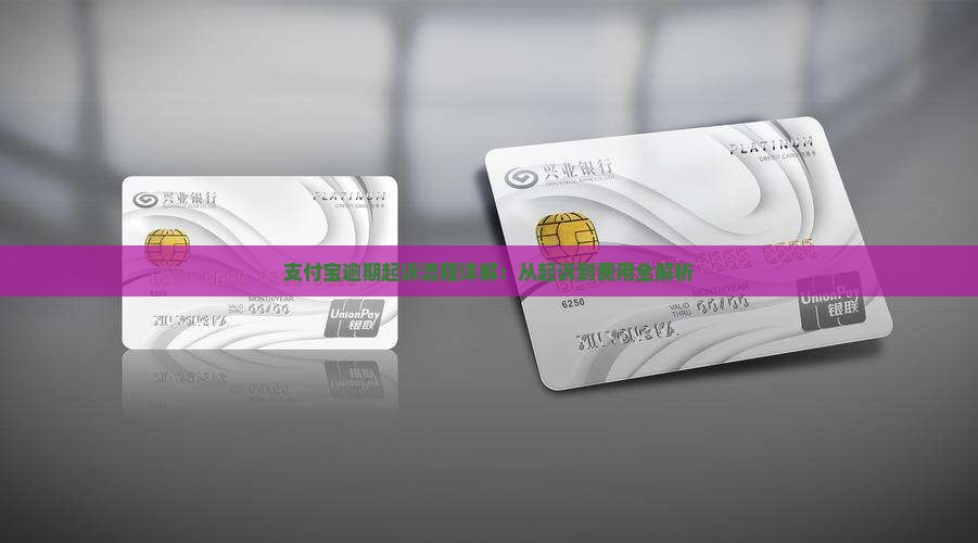 支付宝逾期起诉流程和费用详解