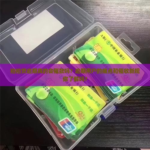 拍拍贷逾期催款吗