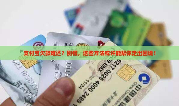支付宝无力偿协商的解决方法有哪些