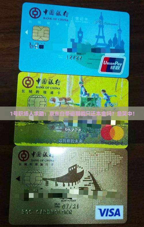 京东白条逾期了可以协商只还本金吗怎么办