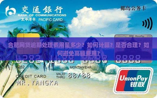 合肥网贷逾期处理费用是多少