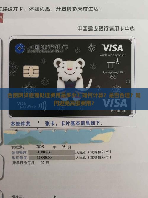 合肥网贷逾期处理费用是多少