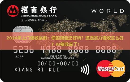 2024年上门催收案例