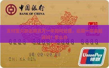 支付宝欠款逾期五万一年如何处理
