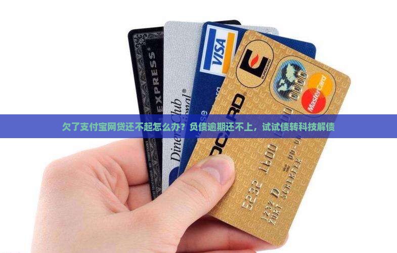 欠了支付宝网贷还不起怎么办