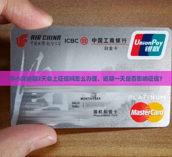 羊小咩逾期2天会上征信吗怎么办理
