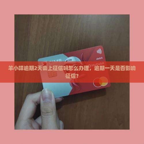 羊小咩逾期2天会上征信吗怎么办理