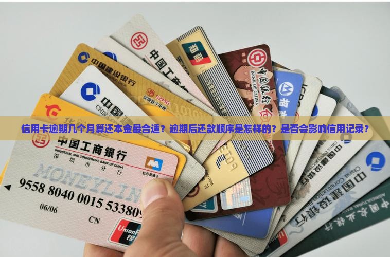 信用卡逾期几个月算还本金最合适