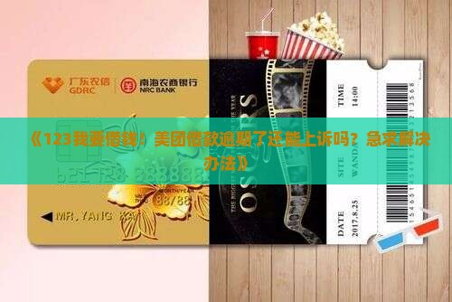 美团借款逾期上诉怎么操作