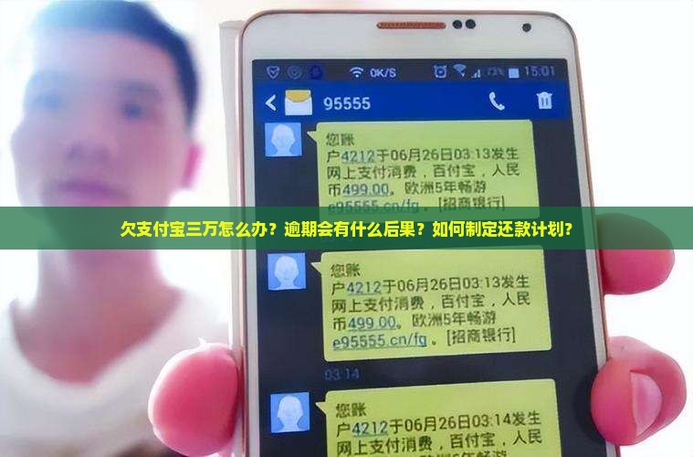 欠支付宝三万怎么办