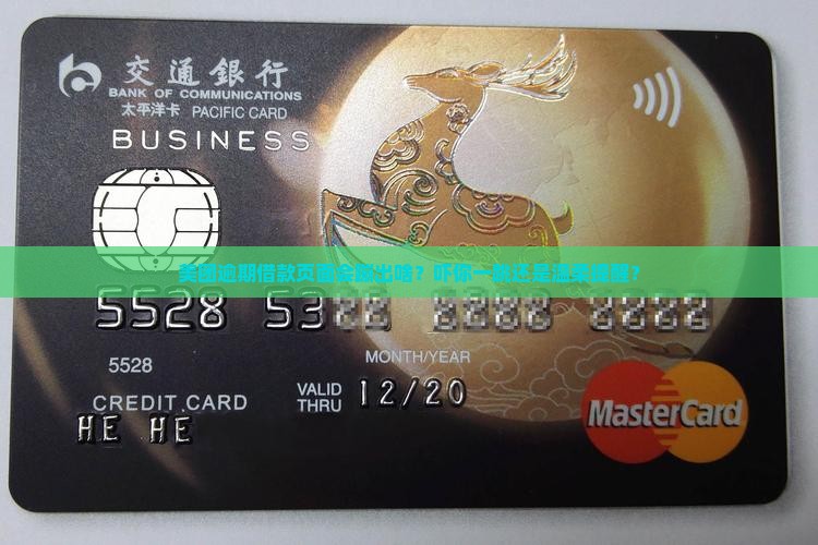 美团逾期借款页面一般显示什么信息