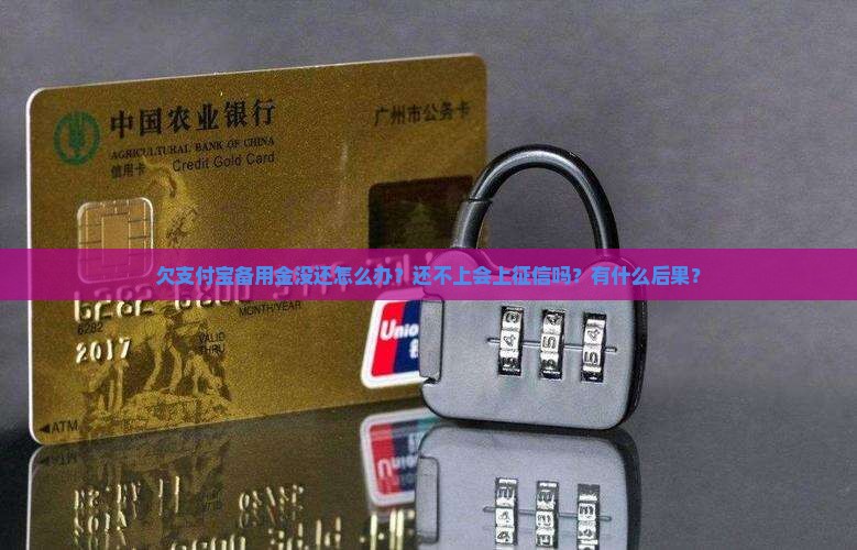 欠支付宝备用金没还怎么办