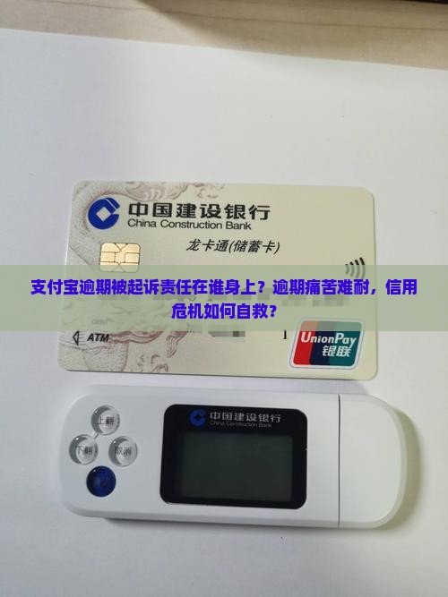 支付宝逾期被起诉责任在谁身上