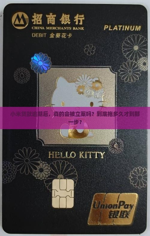 小米贷款逾期多久会被立案处理
