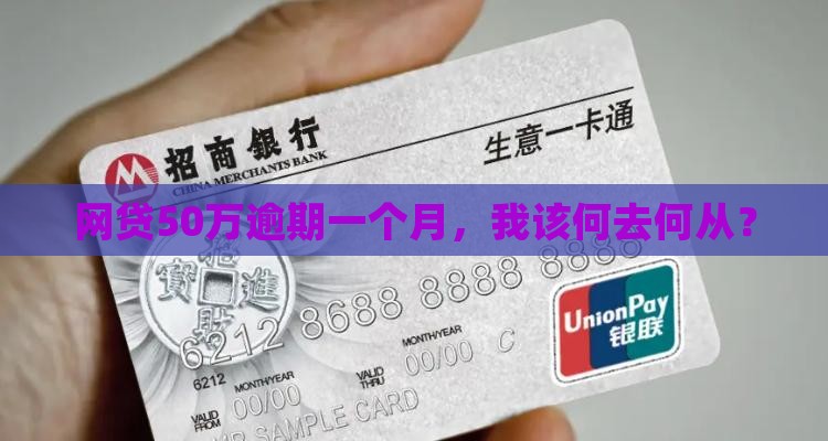 网贷50万逾期一个月如何处理
