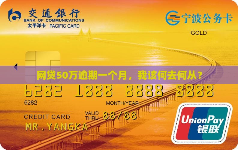 网贷50万逾期一个月如何处理