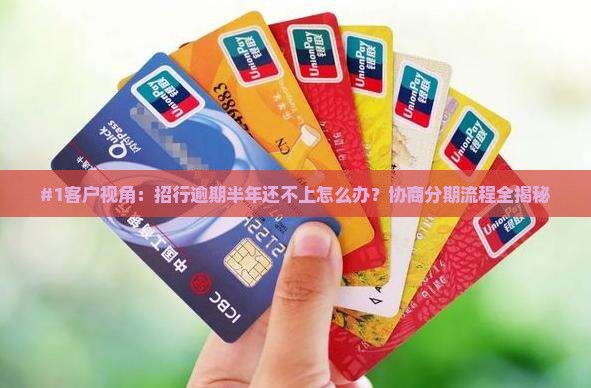 招商银行逾期半年协商分期流程解析