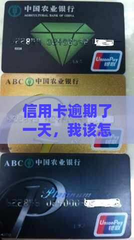汇丰信用卡还款逾期一天了要怎么办