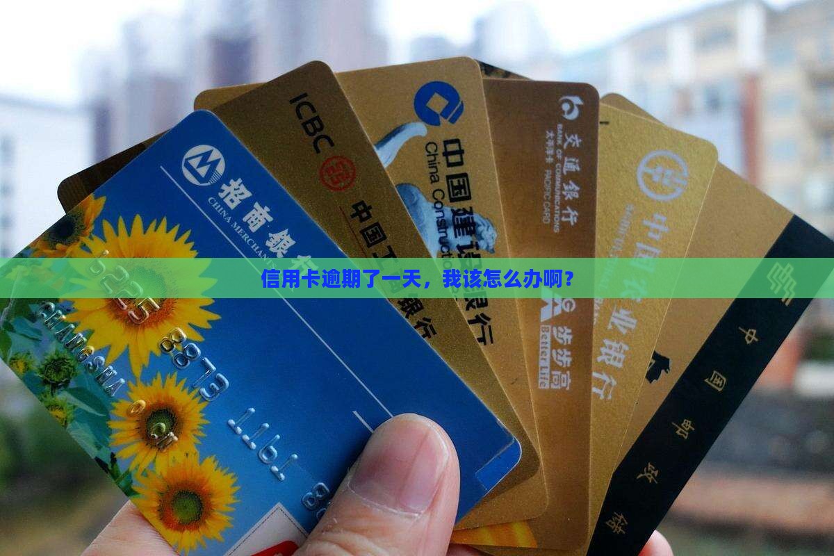 汇丰信用卡还款逾期一天了要怎么办